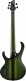 Sdgb1-Dmt Dark Moss Burst Signature Steve Dirgio