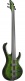 Sdgb1-Dmt Dark Moss Burst Signature Steve Dirgio