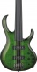 Sdgb1-Dmt Dark Moss Burst Signature Steve Dirgio