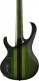 Sdgb1-Dmt Dark Moss Burst Signature Steve Dirgio