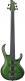 Sdgb1-Dmt Dark Moss Burst Signature Steve Dirgio