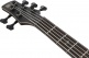 SR1455DWTGF Edition Limitée Transparent Gray Flat