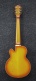 Tcb1006-Alm Autumn Leaf Burst Matte Signature Thundercat
