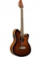 Tcm50-Vbs Vintage Brown Sunburst Talman
