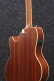 Tcy12E-Opn Natural Talman