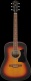 V50Njp-Ovs Vintage Sunburst