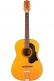 Vintage Hootenanny 6 Vintage Natural Nitro High Polish