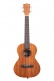 Ka-15T With Gigbag Tenor