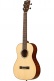20th Anni Solid Spruce Top/Quilted Sapele Bariton with gig bag