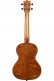 20th Anni Solid Spruce Top/Quilted Sapele, Tenor, livré avec housse