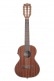 GLOSS MAHOGANY TENOR 8 STRINGS ELECTRO-ACOUSTIC