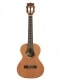 SOLID CEDAR TOP PAU FERRO, TENOR, + CASE