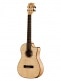 SOLID FLAME MAPLE, BARITON CUTAWAY EQ, WITH BAG