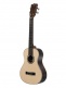 Solid Spruce Solid Ziricote, Super Tenor