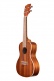 Ka-C With Gigbag Concert Satin Mahogany