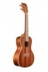 KA-C AVEC HOUSSE CONCERT SATIN MAHOGANY