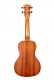 Ka-C With Gigbag Concert Satin Mahogany