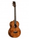 contour collection solid gloss acacia bariton with bag