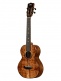 contour collection solid gloss acacia tenor with bag