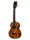 CONTOUR COLLECTION, SOLID GLOSS MAHOGANY, TENOR + HOUSSE