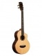 CONTOUR COLLECTION, SOLID GLOSS SPRUCE ROSEWOOD, BARITON CUTAWAY + HOUSSE