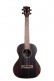Ebony Tenor