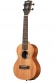 James Hill Signature Concert EQ All Solid Mahogany + Gigbag