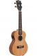James Hill Signature Concert EQ All Solid Mahogany + Gigbag