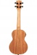 James Hill Signature Concert EQ All Solid Mahogany + Gigbag