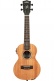 James Hill Signature Concert EQ All Solid Mahogany + Housse