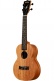 James Hill Signature Concert Solid Top Mahogany + Housse