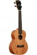 James Hill Signature Concert Solid Top Mahogany + Housse
