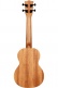 James Hill Signature Concert Solid Top Mahogany + Housse