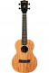James Hill Signature Concert Solid Top Mahogany + Housse