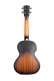 Crossover Archtop Hollow Tenor Electro-Acoustic Tobacco