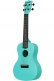 Recycled Waterman Concert Aqua Mist