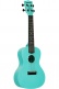Recycled Waterman Concert Aqua Mist
