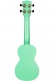 Recycled Waterman Soprano Sea Foam Green
