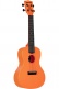 Recycled Waterman Concert Sunset Orange