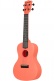 Recycled Waterman Concert Pink Dust
