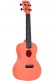 Recycled Waterman Concert Pink Dust
