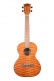 Exotic Mahogany Tenor