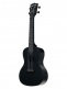 Waterman, Concert - Black Sand