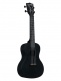 Waterman, Concert - Black Sand