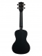 Waterman, Concert - Black Sand