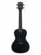 Waterman, Concert - Black Sand