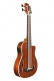 Ubass-Jymn-Fs Journeyman
