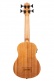 Ubass Nomad