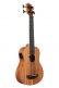 Ubass Nomad