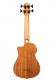 U-Bass Scout